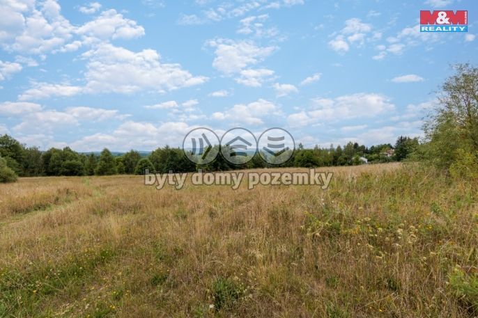 Prodej, Komerční pozemky, Dalovice