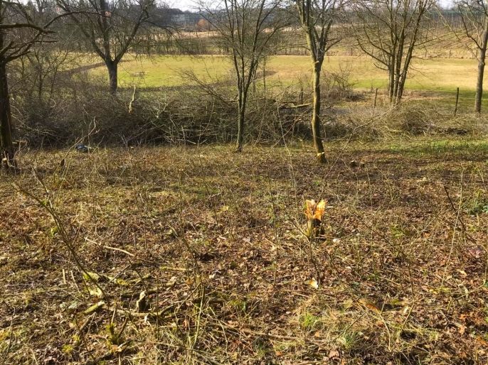 Prodej, Zahrada, Postoloprty