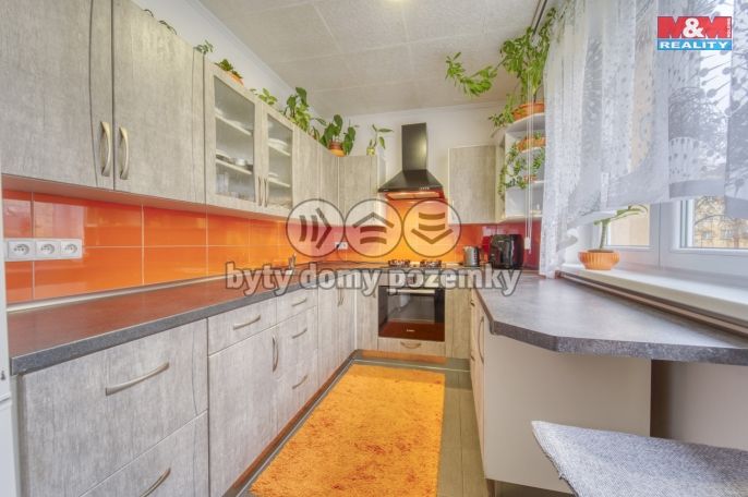 Prodej, Byt 1+1, 50 m², Habartov, Raisova