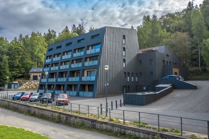 Prodej, Byt 1+kk, Janov nad Nisou