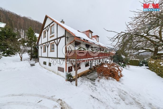 Prodej, Hotel, penzion, Horní Maršov