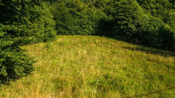 Prodej, Pozemek k bydlení, Oldřichov v Hájích