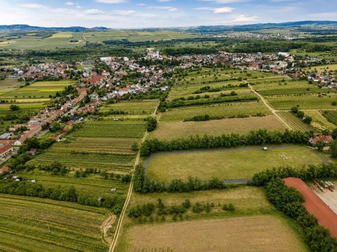 Prodej, Zahrada, Drnholec