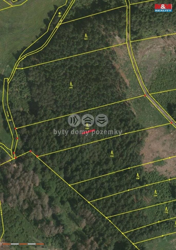 Prodej, Les, Ratibořské Hory