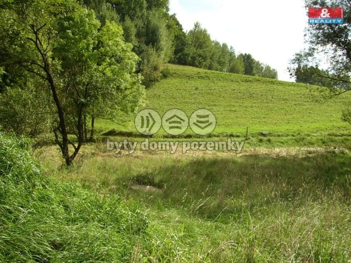 Prodej, Louka, Janův Důl