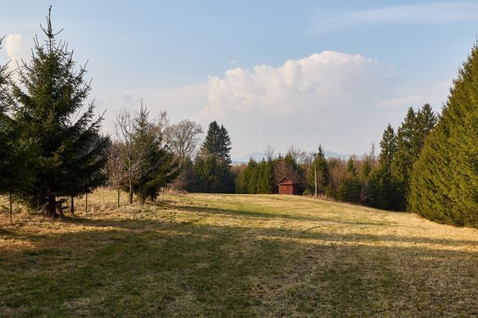 Prodej, Ostatní, Královec