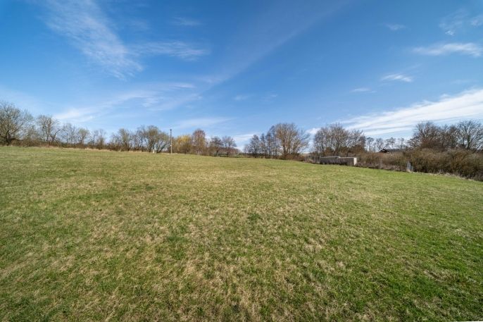 Prodej, Komerční pozemky, Břasy