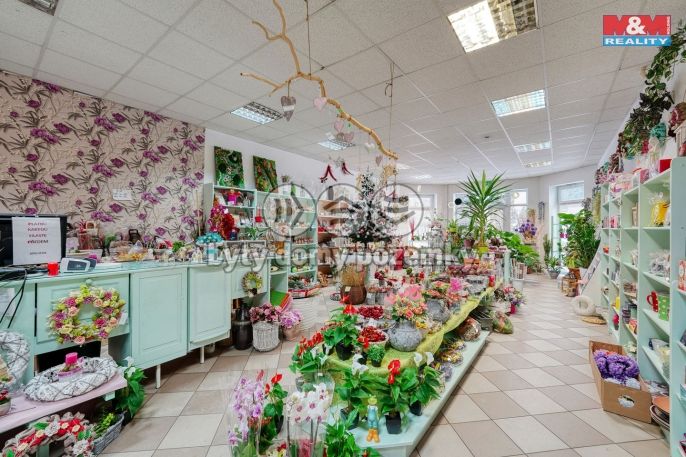 Pronájem, Obchod a služby, Třemošná