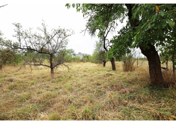 Prodej, Zahrada, Olomouc