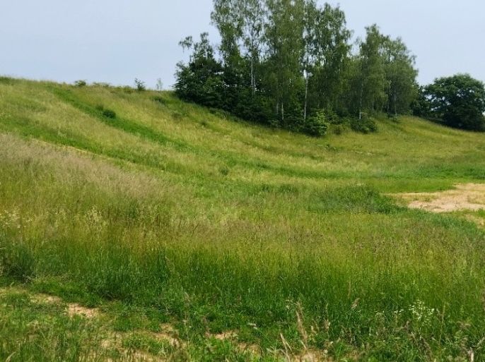 Prodej, Pozemek k bydlení, Svijanský Újezd