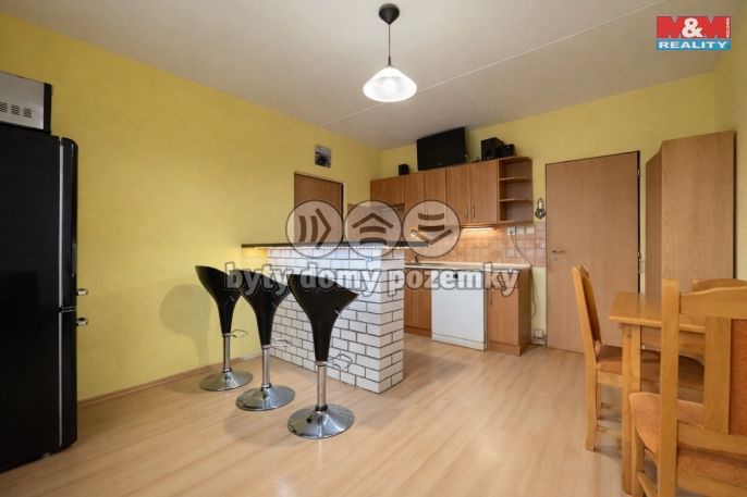 Prodej, Byt 1+1, Plzeň
