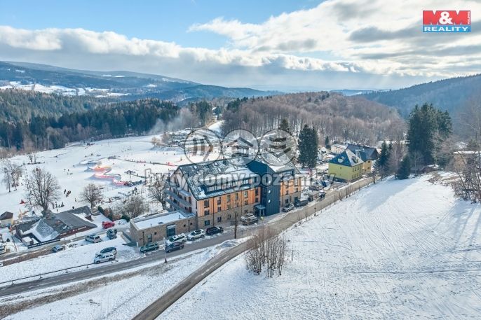 Prodej, Byt 1+kk, Janské Lázně