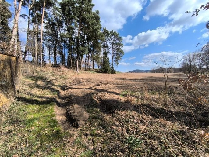 Prodej, Zahrada, Radošovice