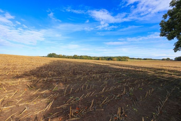 Prodej, Ostatní, Hrdlív