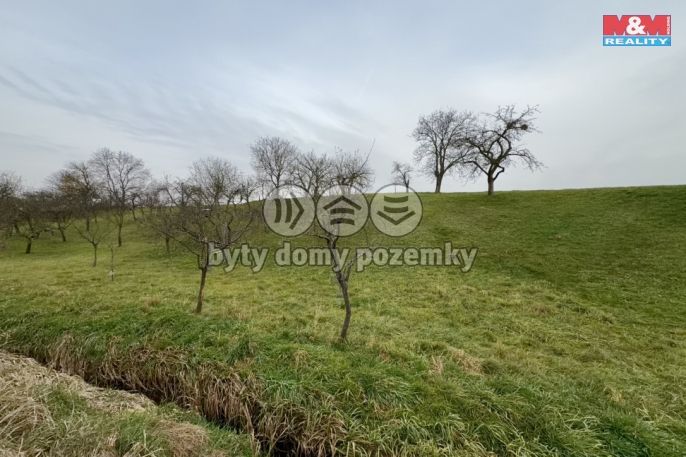 Prodej, Zahrada, Bezuchov