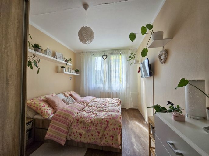 Prodej, Byt 3+1, Frýdek-Místek