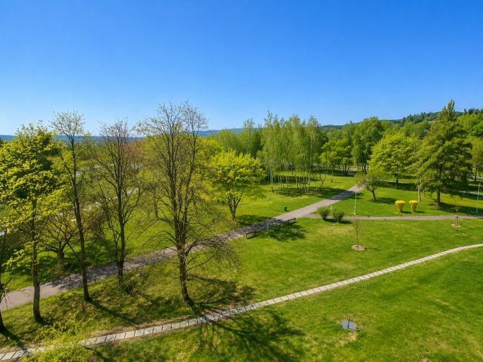 Prodej, Byt 2+1, Litvínov