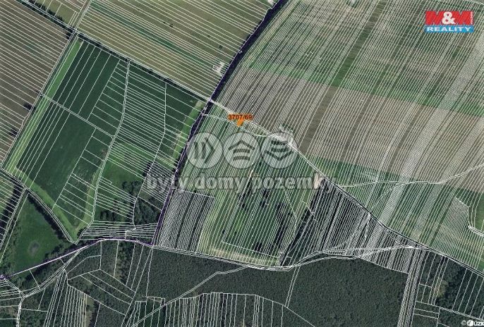 Prodej, Pole, Vracov