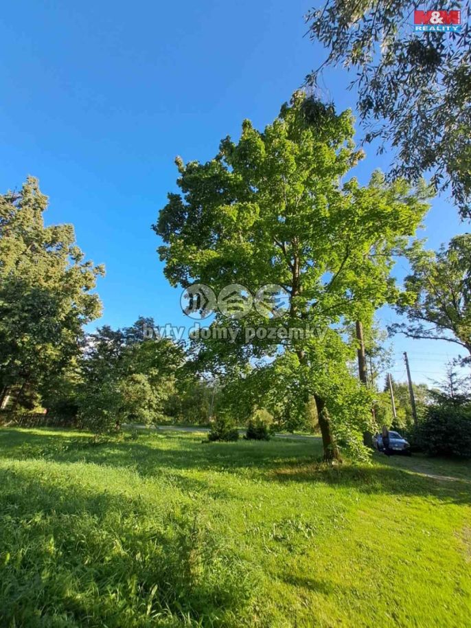 Prodej, Zahrada, Město Albrechtice