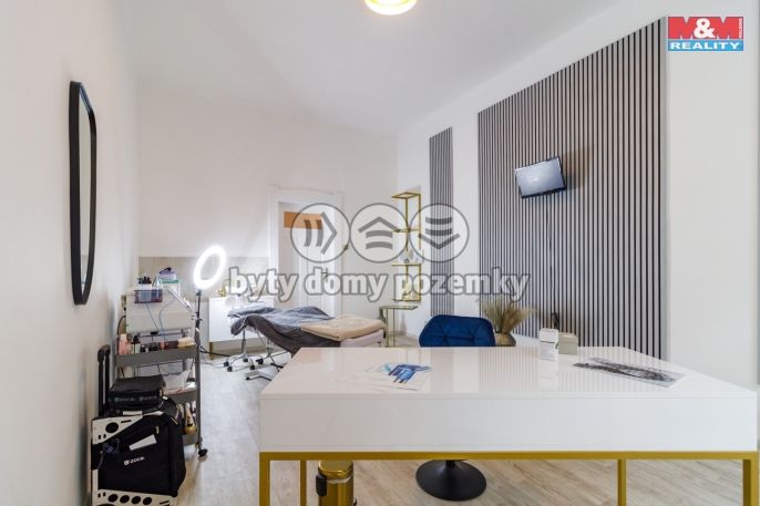 Pronájem, Obchod a služby, Plzeň