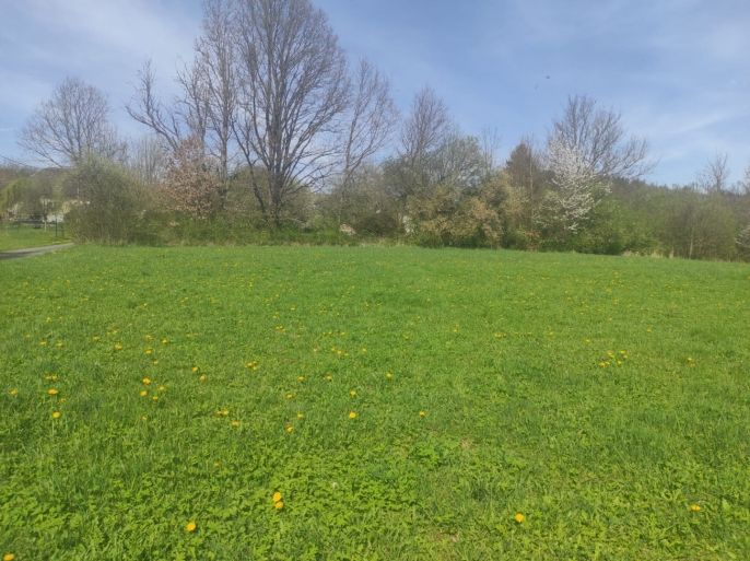 Prodej, Pozemek k bydlení, Velké Losiny