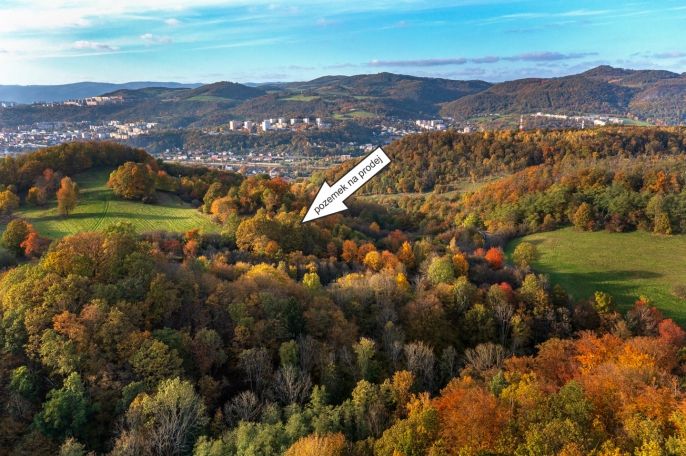 Prodej, Louka, Ústí nad Labem