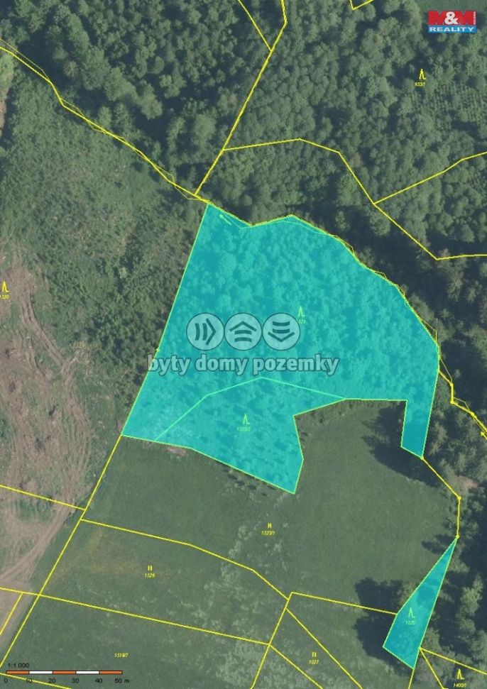 Prodej, Les, Košťálov