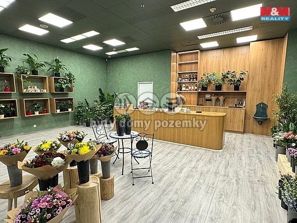 Pronájem, Obchod a služby, Brno