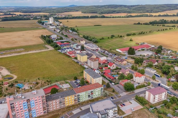 Prodej, Byt 3+1, Bor