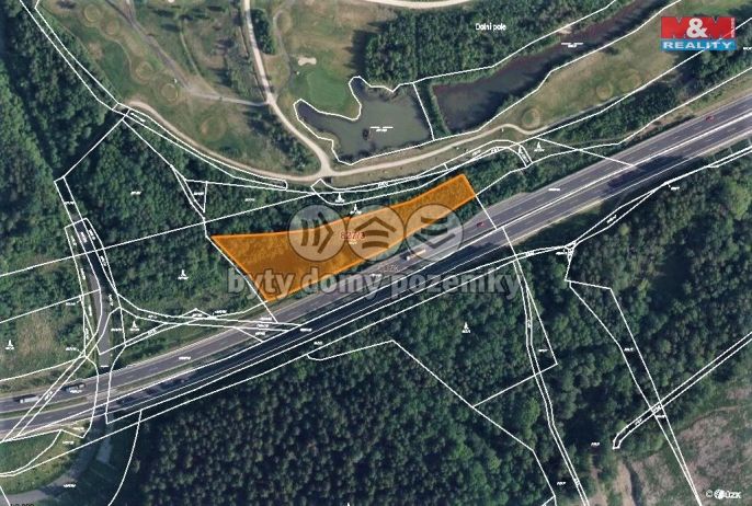 Prodej, Les, Dolní Rychnov