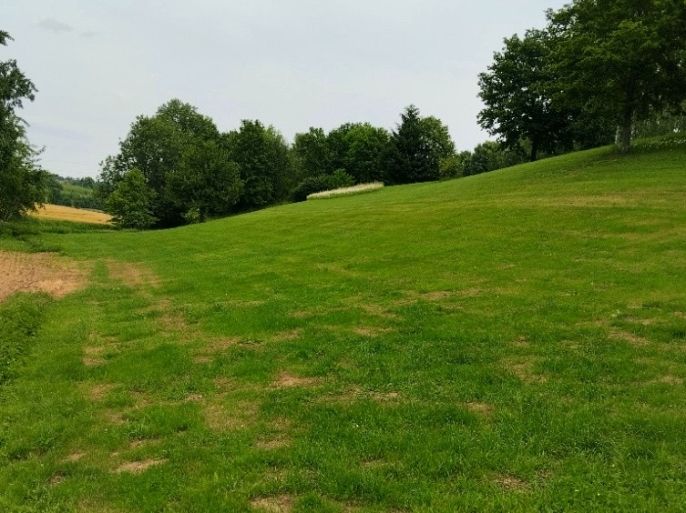 Prodej, Pozemek k bydlení, Svijanský Újezd