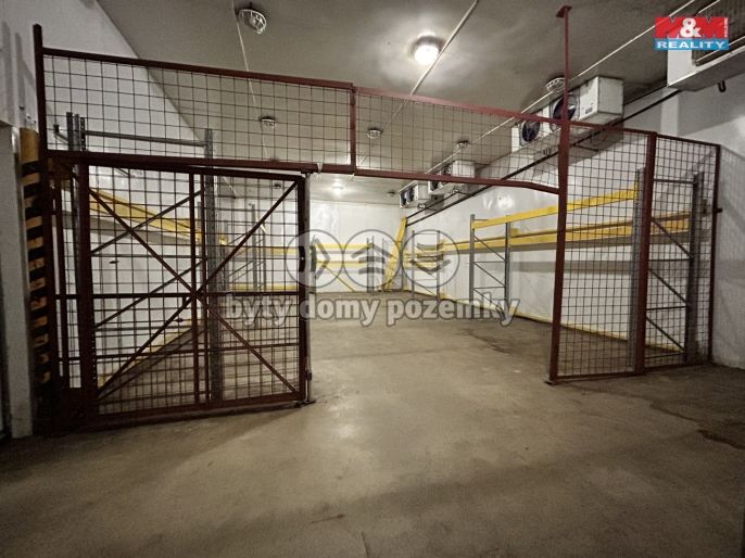 Pronájem, Výrobní objekt, Litenčice