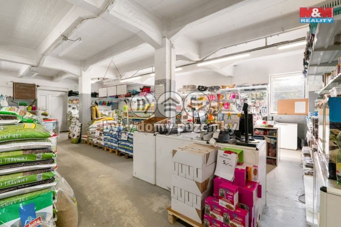 Pronájem, Obchodní objekt, Jílové