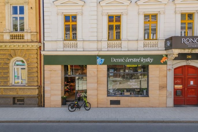 Pronájem, Obchod a služby, Plzeň