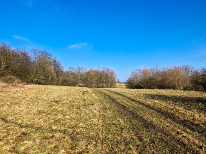 Prodej, Louka, Kozly