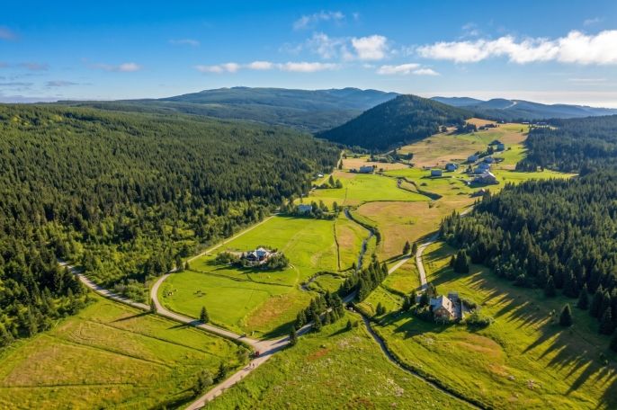 Prodej, Pastvina, Kořenov