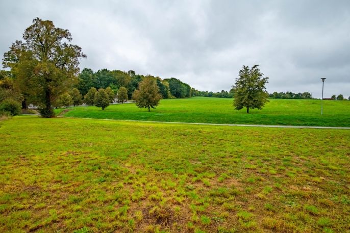 Prodej, Provozní plocha, Zlatá Koruna