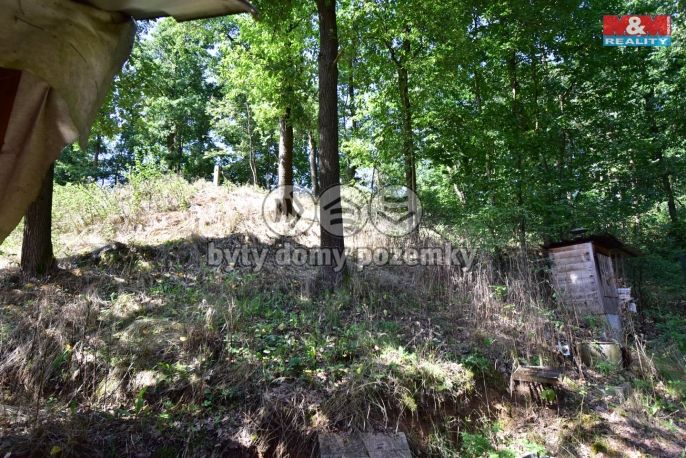 Prodej, Chata, Bechyně