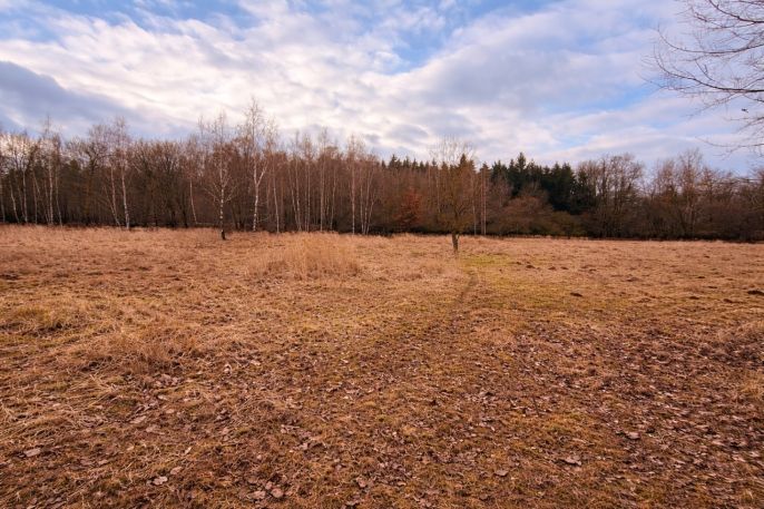 Prodej, Pastvina, Křečovice