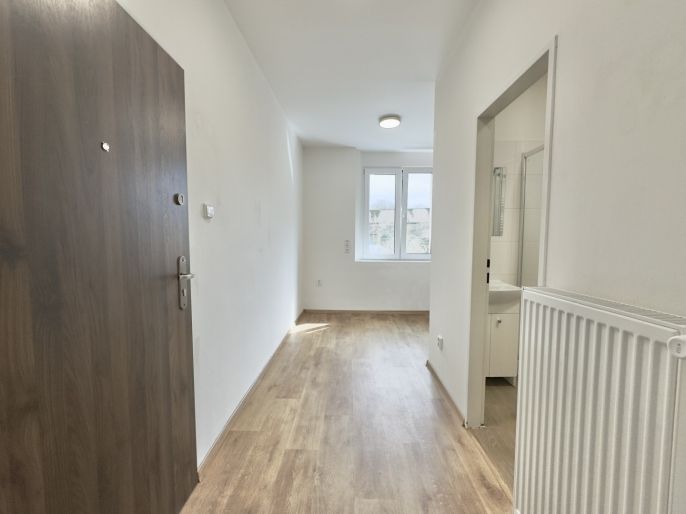 Pronájem, Byt 1+1, Klášterec nad Ohří