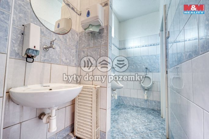 Prodej, Restaurace, stravování, Toužim