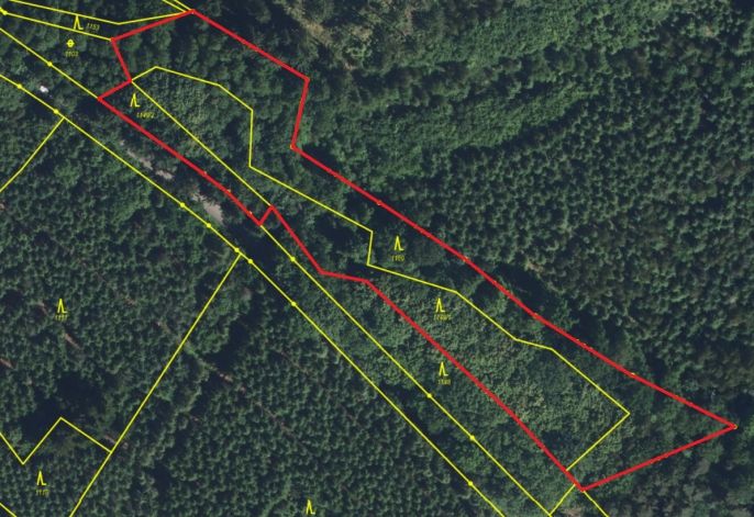 Prodej, Les, Košťálov