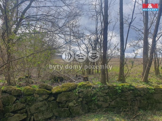 Prodej, Pole, Kozlovice