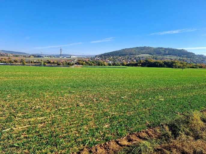 Prodej, Pole, Sentice