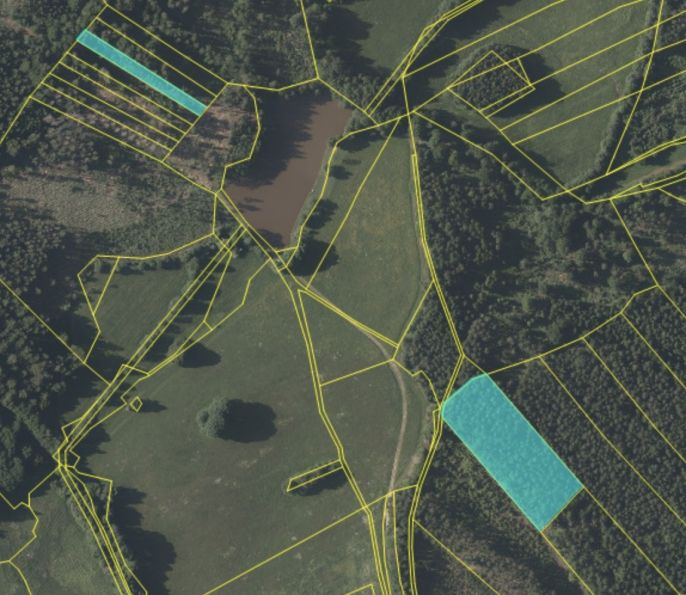 Prodej, Les, Mrákotín