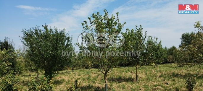 Prodej, Zahrada, Příbor