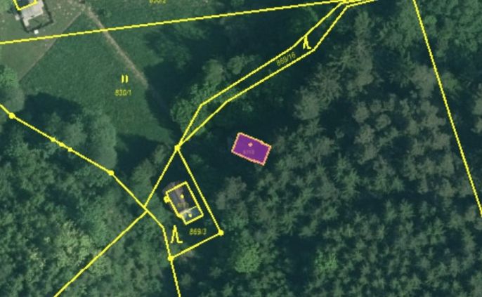 Prodej, Chata, Borovnice