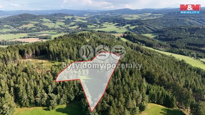 Prodej, Les, Petrovice u Sušice