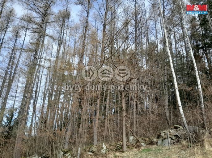 Prodej, Les, Zálezly