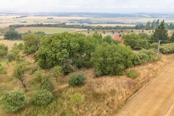 Prodej, Pozemek k bydlení, Petrovice